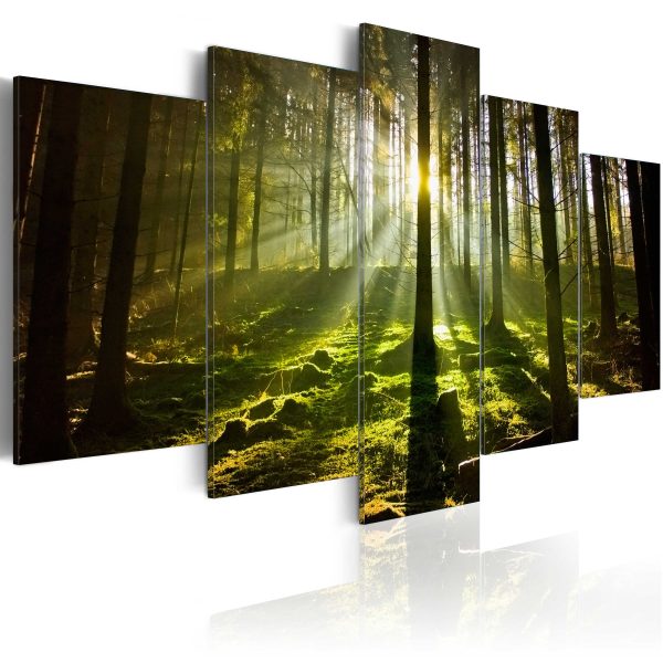 ARTGEIST Spring silence - Bild på skog i vårsolen tryckt på duk - Flera storlekar 200x100
