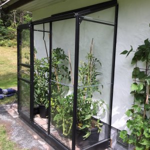 Väggväxthus Fröa - 1,3 m²