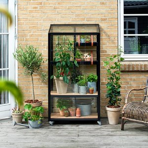 Växthus City Green House