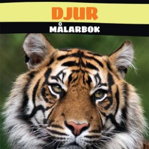 Vilda djur målarbok